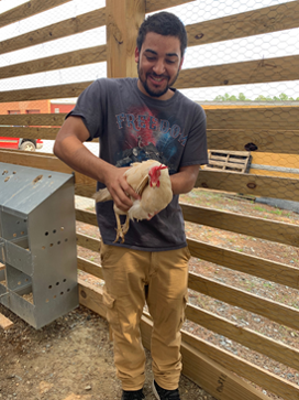 j and chicken 